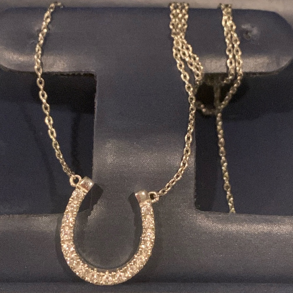 Lee Angel horseshoe necklace